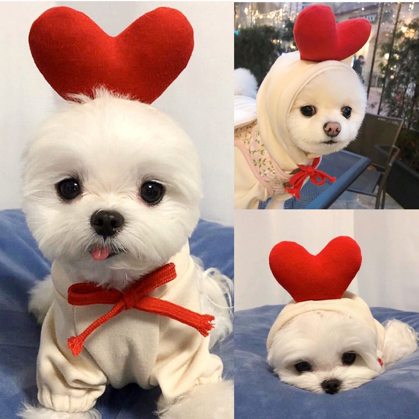 🍓 Süßer Hoodie für Hunde & Katzen – warm & flauschig