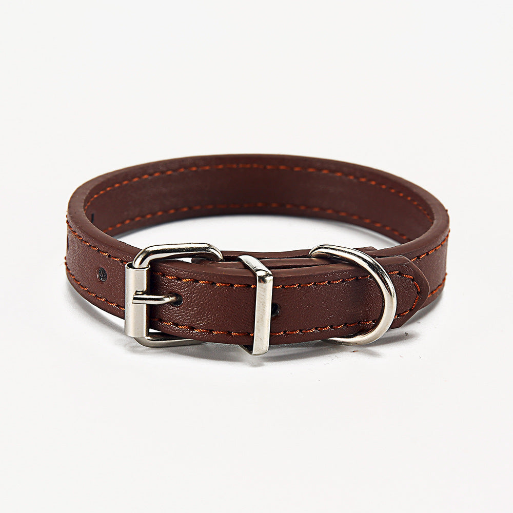 🐶 Stylisches Halsband für Hunde
