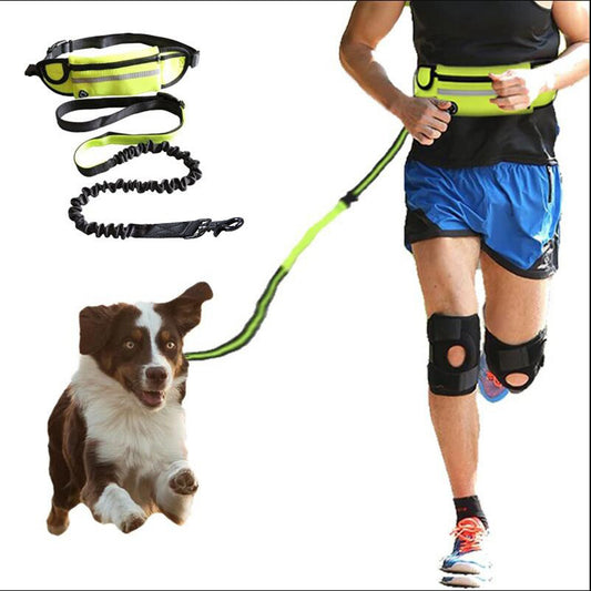 🐕 Freihand-Hundeleine mit Bungee, Tasche & Flaschenhalter