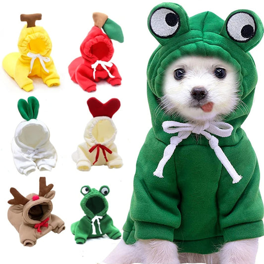 🍓 Süßer Hoodie für Hunde & Katzen – warm & flauschig
