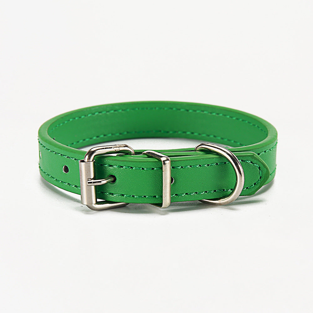 🐶 Stylisches Halsband für Hunde