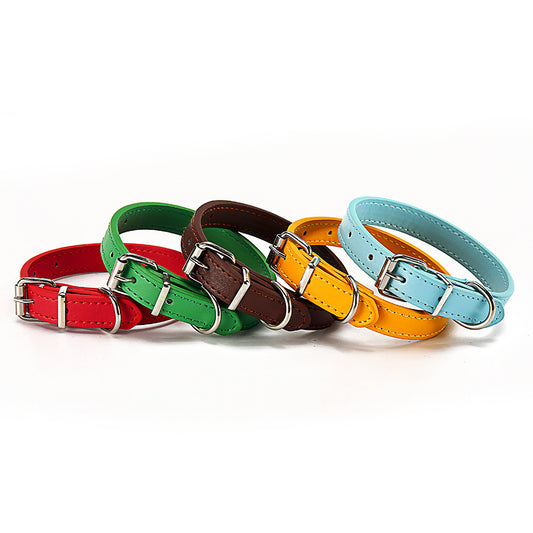 🐶 Stylisches Halsband für Hunde