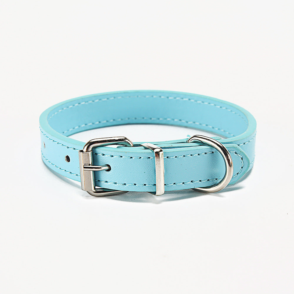 🐶 Stylisches Halsband für Hunde