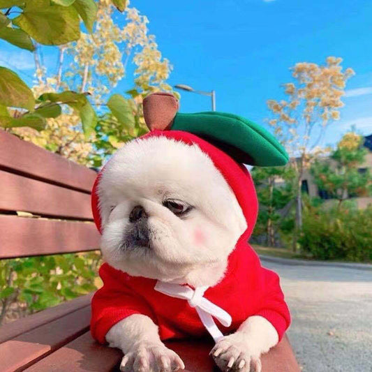 🍓 Süßer Hoodie für Hunde & Katzen – warm & flauschig