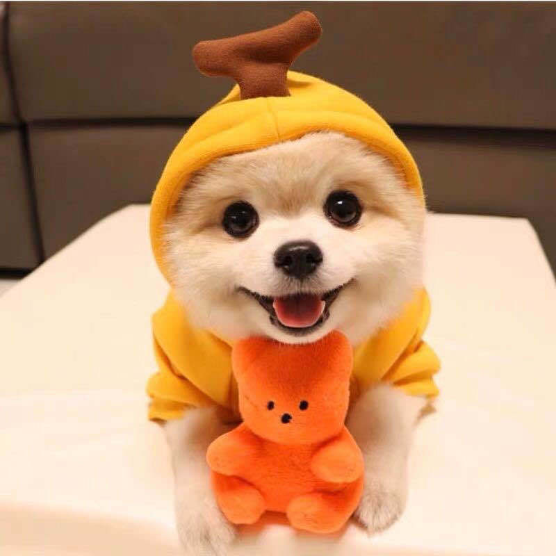 🍓 Süßer Hoodie für Hunde & Katzen – warm & flauschig