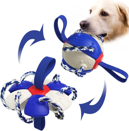 🎾 2-in-1 Frisbee & Ball