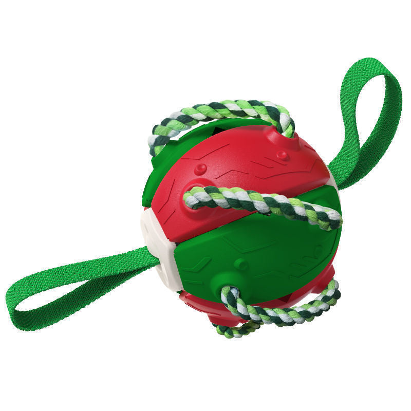 🎾 2-in-1 Frisbee & Ball