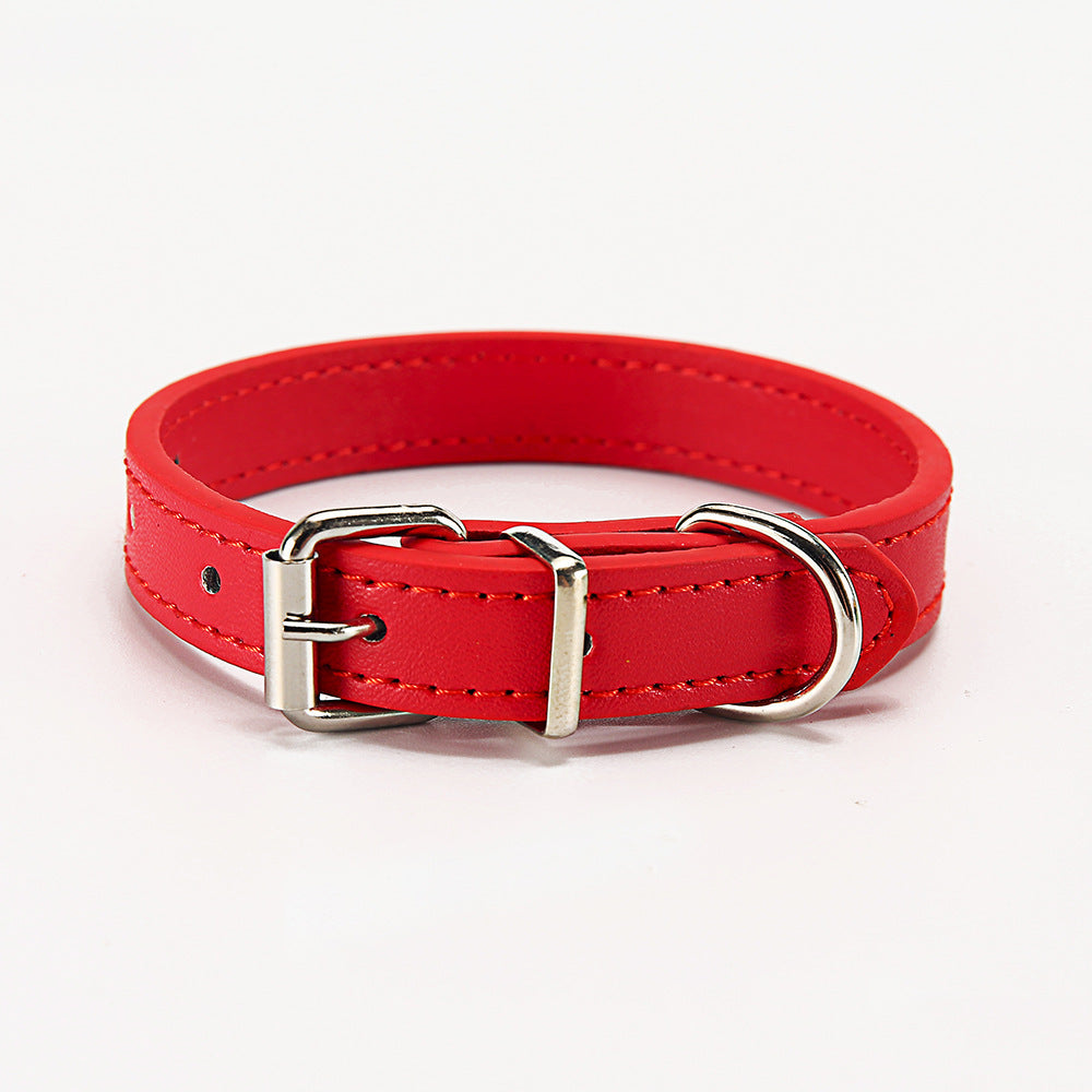 🐶 Stylisches Halsband für Hunde