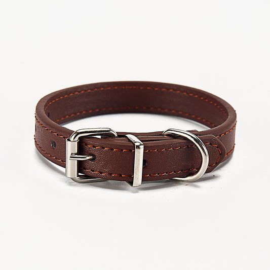 🐶 Stylisches Halsband für Hunde
