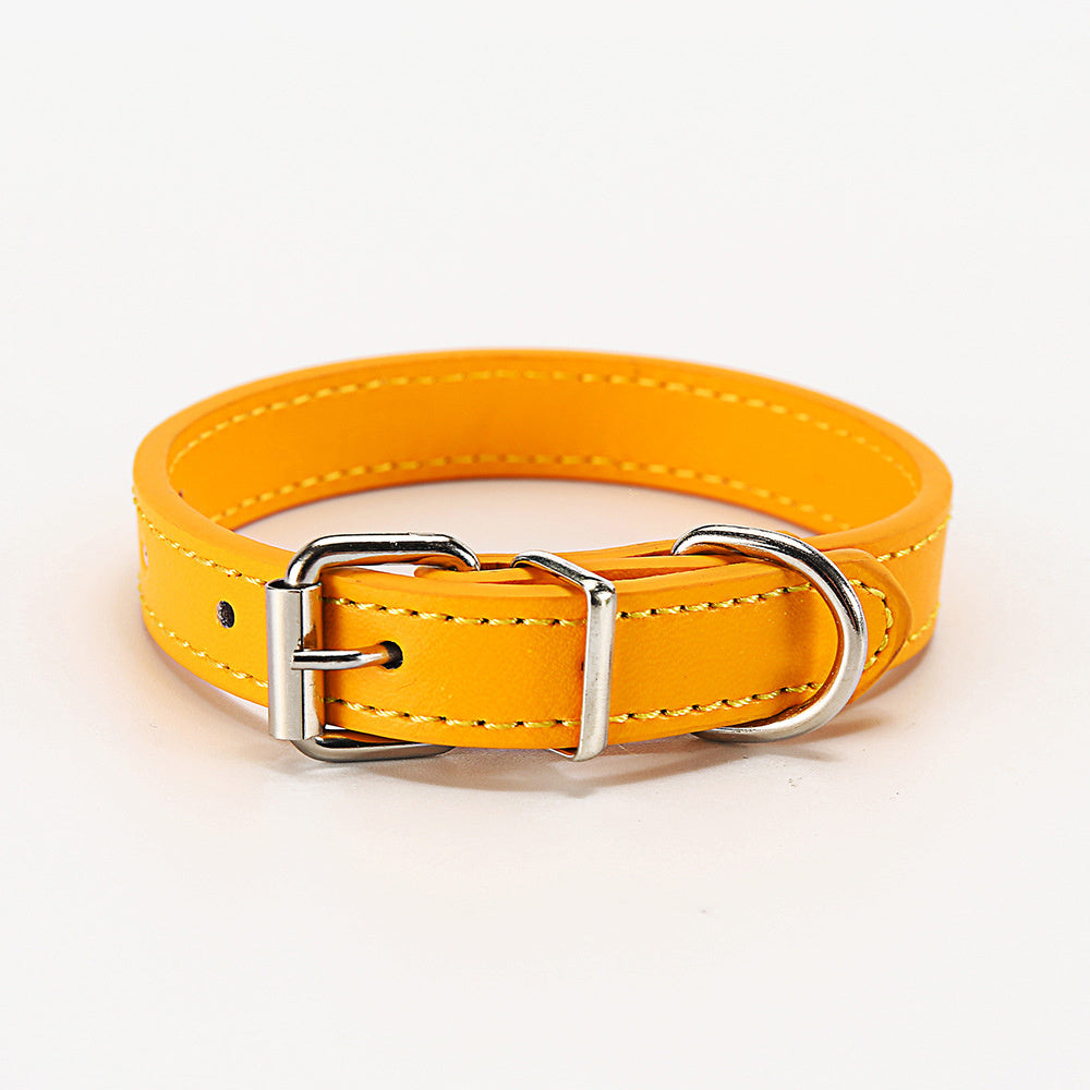 🐶 Stylisches Halsband für Hunde