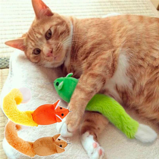 🐭 Katzenspielzeug Maus  – interaktiv & lustig