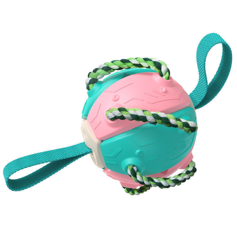 🎾 2-in-1 Frisbee & Ball