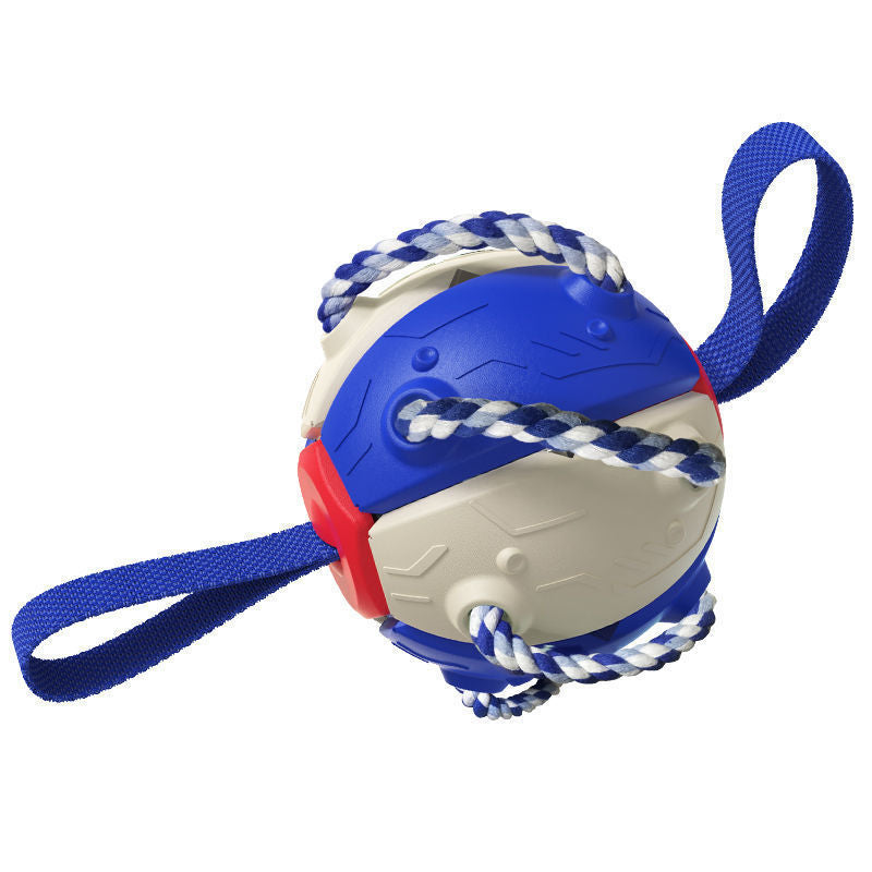 🎾 2-in-1 Frisbee & Ball