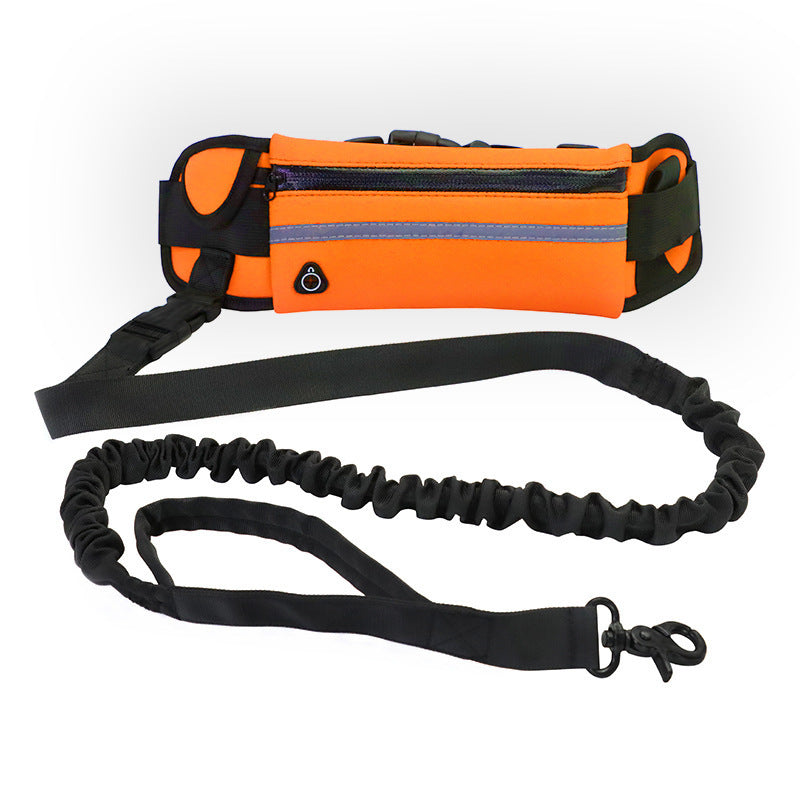 🐕 Freihand-Hundeleine mit Bungee, Tasche & Flaschenhalter