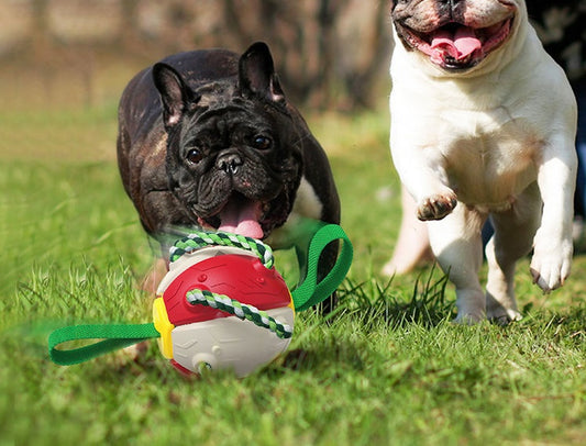 🎾 2-in-1 Frisbee & Ball